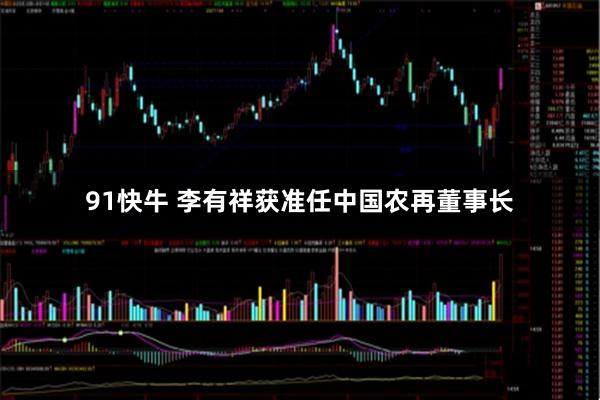 91快牛 李有祥获准任中国农再董事长