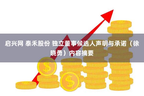 启兴网 泰禾股份 独立董事候选人声明与承诺（徐晓勇）内容摘要