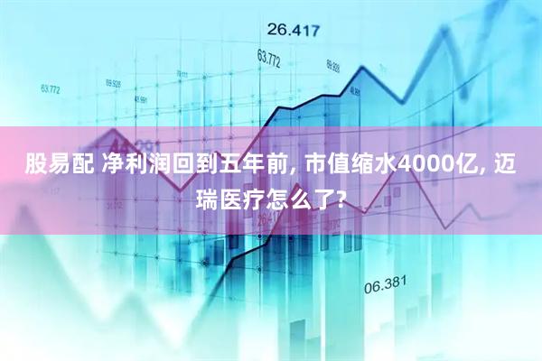 股易配 净利润回到五年前, 市值缩水4000亿, 迈瑞医疗怎么了?