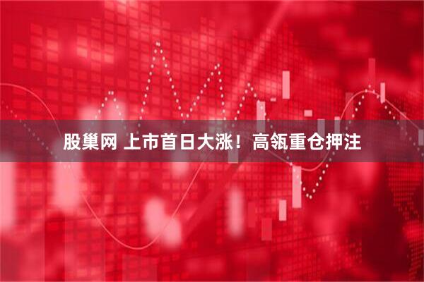 股巢网 上市首日大涨！高瓴重仓押注